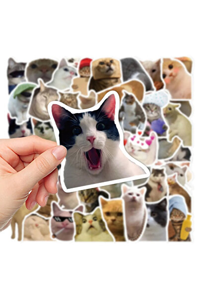 BSRE Sticker Set (Crazy Cats MacBook Notebook Tablet Phone Agenda Laptop Notebook)