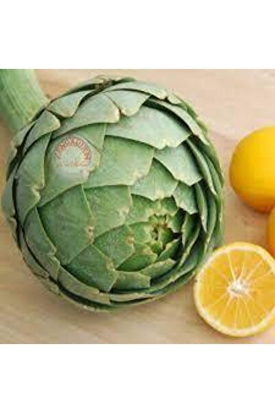 Tohumcumm 30 Adet Tohum Enginar Tohumu Geleneksel Tohumu Sürpriz Hediye Tohum...