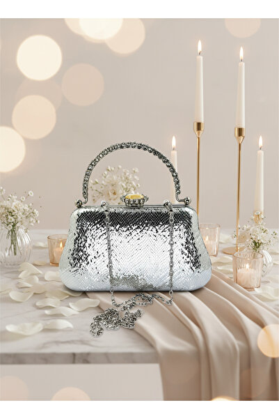 Biçanta Silver Crystal Pattern Pearl Detailed Stone Handle Evening Bag Night Wedding Engagement Graduation Portfolio