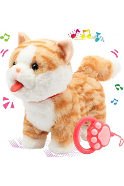 OEM 3D Wooden Puzzle - Rainbow Fruits