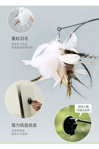 KTT Cat Play Fishing Rod with Suction Cup, Feather and Bell, Stylishly Designed Functional Product