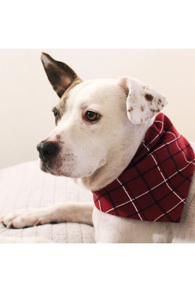 Lovedbaby Bandană pentru câini și pisici – accesoriu festiv din bumbac, Moș Crăciun (S/M, L/XL)