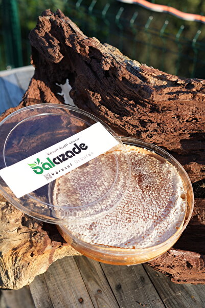 Balcızade Ürünler – Doğal Petek Balı 🍯(2,5)kg