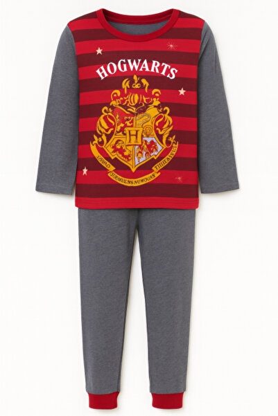 OEM Harry Potter Boys' Pajamas, Gray