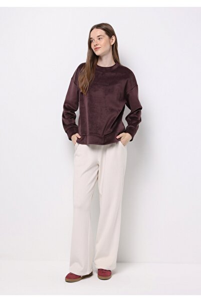 Colin's Regular Fit Yuvarlak Yaka Sloganlı Kadın Mor Sweatshirt