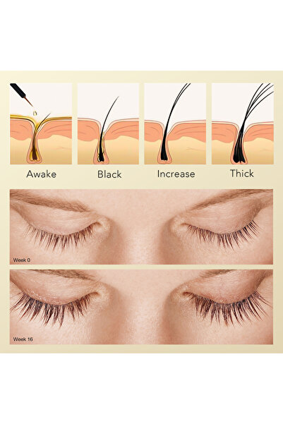 GOLLEE Organic Wholesale Eyelash Growth Serum with Custom Peptide - Private Label