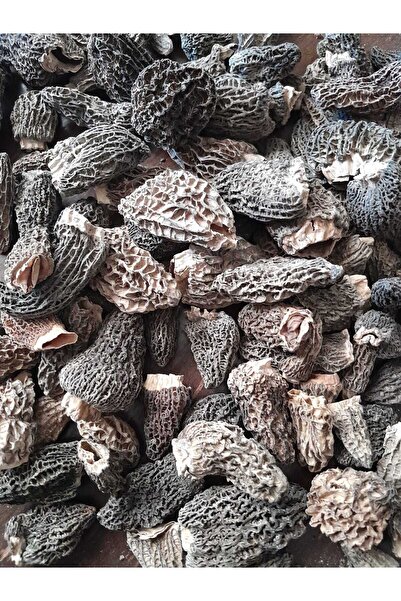 umutdoğalsalep KUZU GÖBEĞİ