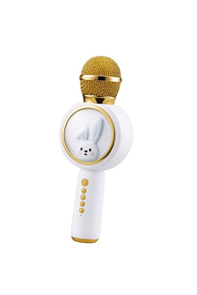 BIGROSEE Portable kids karaoke microphone biGros 2-in-1 with integrated speaker, Bluetooth, card slot, USB ch