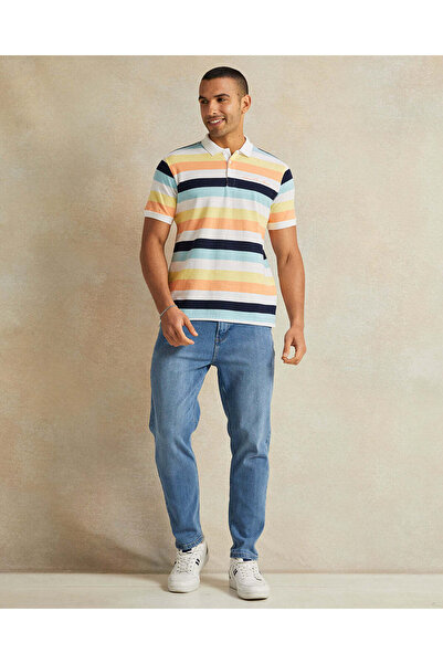 REDTAG Men Multicolour Striped Polo T-Shirt