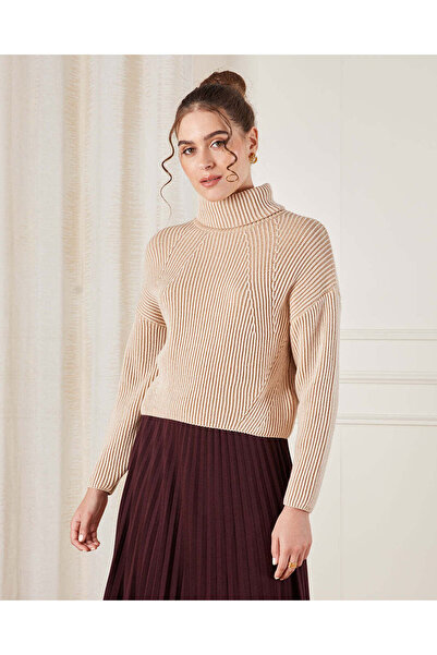 REDTAG Women Brown Turtle Neck Knitted Pullover