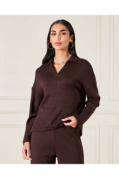 REDTAG Women Brown Knitted Polo Collar Pullover