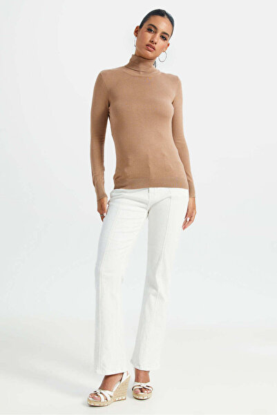 REDTAG Women Brown Turtle Neck Pullover