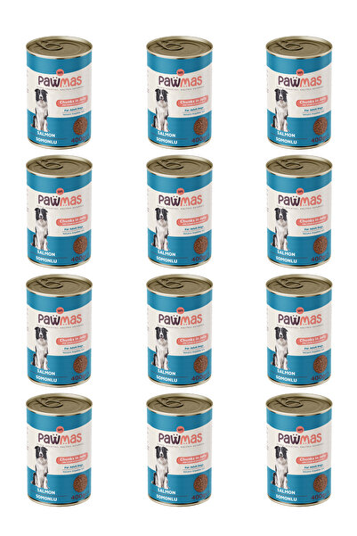 Pawmas Somonlu Yetişkin Köpek Konservesi 400 gr X 12 Adet