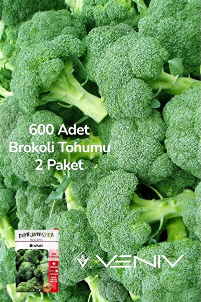 VENİV AGRİCULTURE 600 Adet Brokoli Tohumu 2 Paket