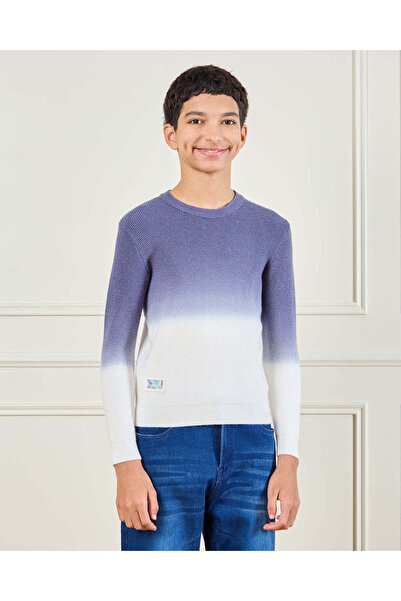 REDTAG سترة محبوكة بألوان متعددة للأولاد الكبار