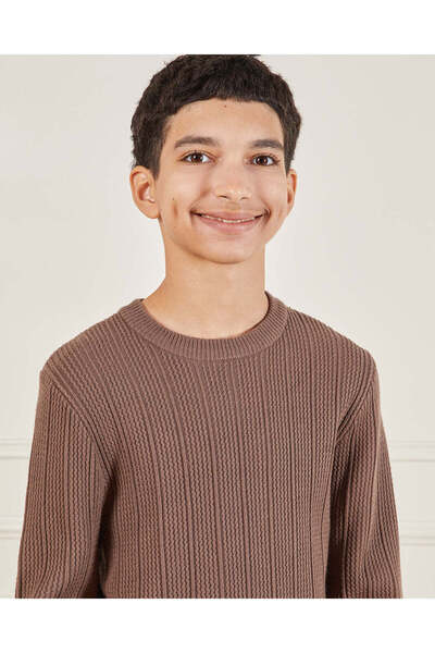REDTAG Senior Boys Brown Textured Sweater