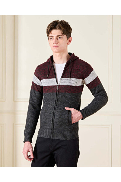 REDTAG Senior Boys Burgundy Knitted Cardigan