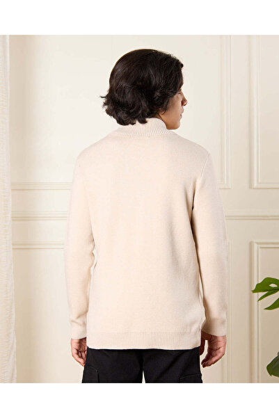 REDTAG Senior Boys Beige High Neck Pullover