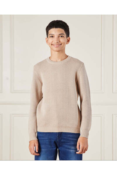 REDTAG Senior Boys Beige Pullover Sweater