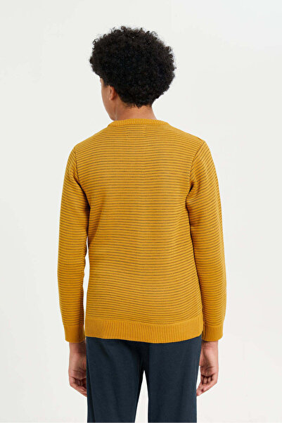 REDTAG Senior Boys Mustard Knitted Pullover