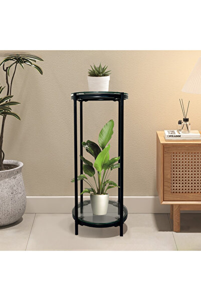 Sinyin Modern 2-Tier Plant Stand, Display Rack with Tempered Glass Shelves, Black Metal Frame