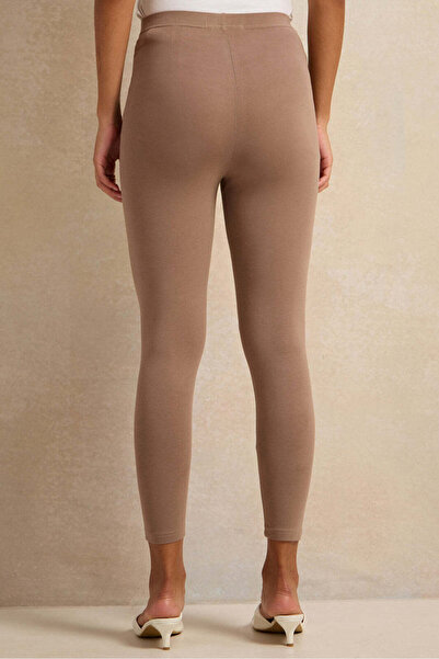 REDTAG Women Brown Leggings Set (Pack Of 2)