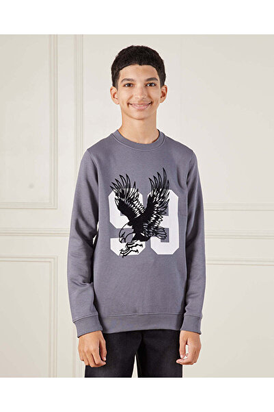 REDTAG Senior Boys Blue Printed Long Sleeve Sweatshirt