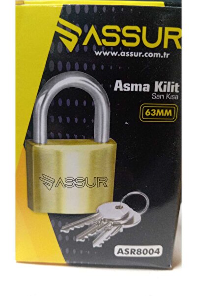 çaycup BOLTOPTAN ASSUR 63 mm asma kilit 6*30 180 ADET