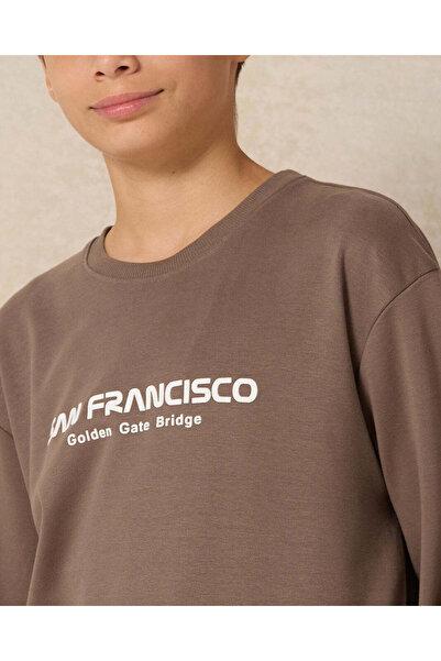 REDTAG Senior Boys Brown Crew Neck Sweatshirt