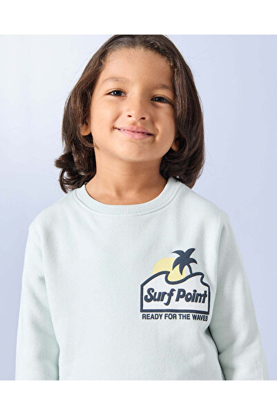 REDTAG Boys Mint Printed Sweatshirt