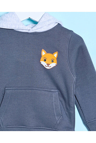 REDTAG Infant Boys Blue Fox Hooded Sweatshirt