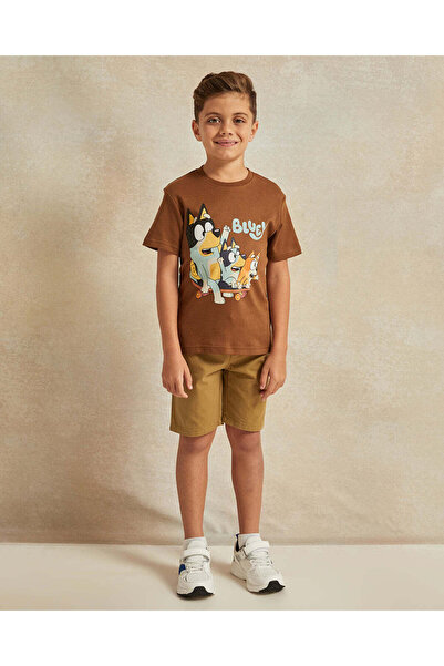 REDTAG Boys Brown Solid Shorts