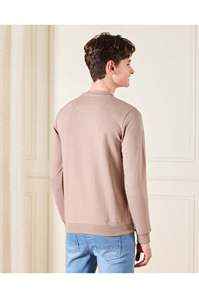 REDTAG Senior Boys Beige Loin Printed Sweatshirt