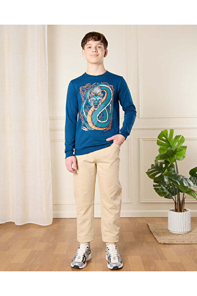 REDTAG Senior Boys Blue Dragon Printed Sweatshirt