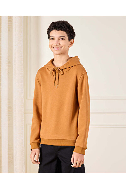 REDTAG Senior Boys Brown Hooded Sweatshirt