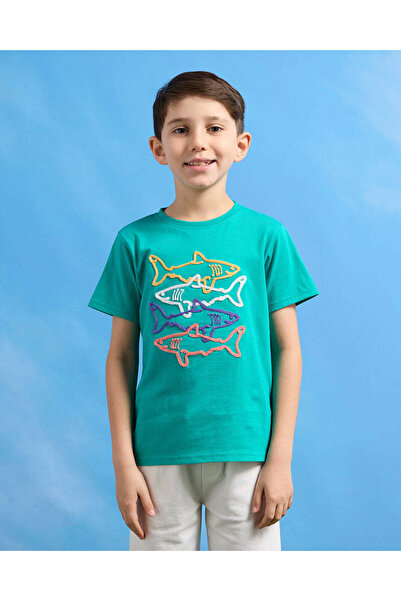 REDTAG Boys Teal And White Shark Casual Set (2 Piece)