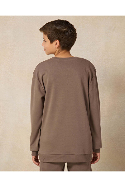 REDTAG Senior Boys Brown Crew Neck Sweatshirt