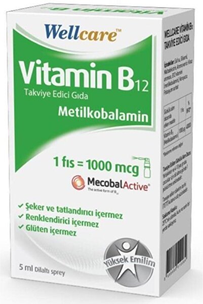 Wellcare Metilkobalamin Vitamin B12 1000mcg Dilaltı