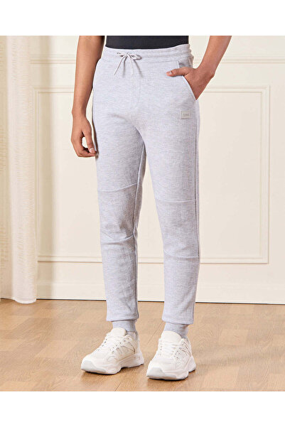 REDTAG Senior Boys Grey Table Active Pants