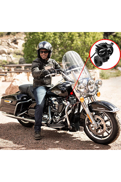 Ruan Car LED projector with 2 PHASE power 30W 6000K owl model