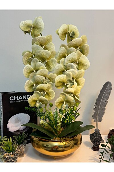 MY LOVE ÇİÇEKÇİLİK Metal Ufo Vazoda Bohem Yeşil 2'Li Islak Dokulu Yapay Orkide