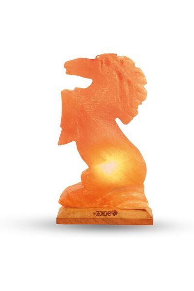 Geohoney Himalayan Salt Lamp - Horse