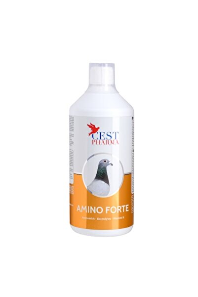 Cest Pharma Supliment pentru porumbei, Amino Forte, Cest Pharma, 1000 ml