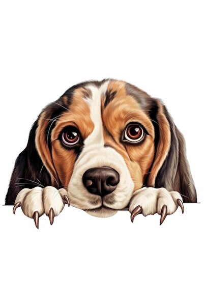 OEM Autocolant - Cățeluș care își așteaptă stăpânul, margini albe, vinil PVC,...