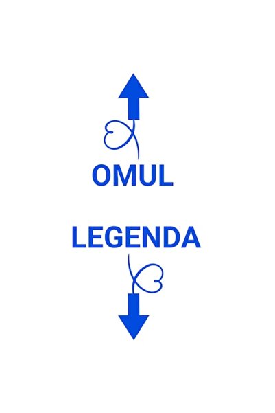 OEM Autocolant amuzant cu săgeată și inimioare, direcții opuse, bordură albă,...