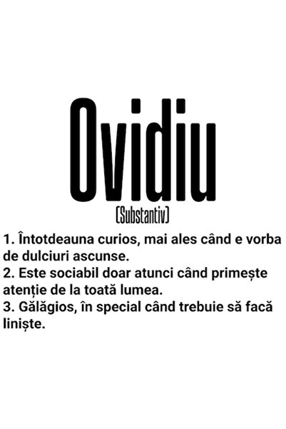 OEM Autocolant cu numele Ovidiu, mesaj amuzant — curios, sociabil, gălăgios —...