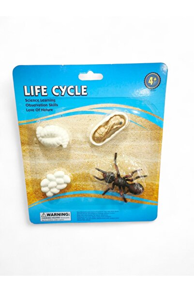 TFK 4-Piece Ant Growth Cycle Model Figure - Lifelike Ant Life Cycle Set for Kids Education