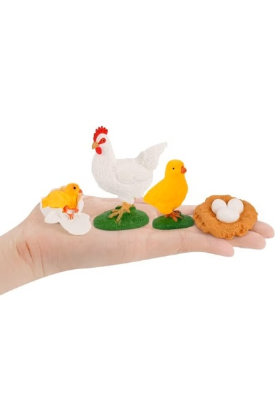 TFK 4-Piece Rooster Life Cycle Model - Realistic Rooster Growth Cycle Educational Figurines