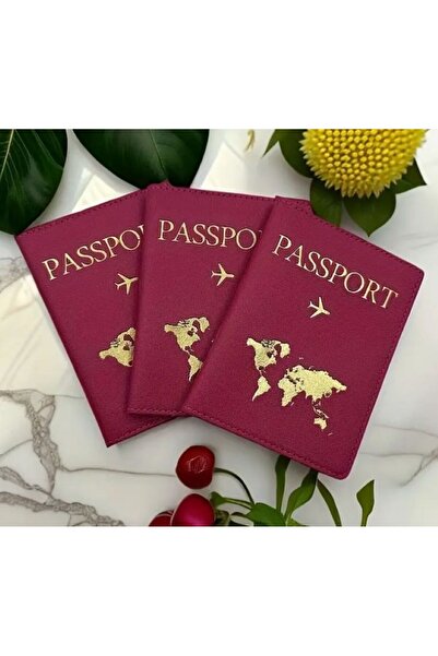 Dgt Luxury Passport Cover, World Themed, Travel Wallet, Practical Use