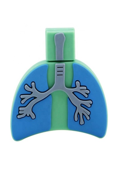 Prof Lung-Shaped 16Gb Flash Memory USB Memory Stick